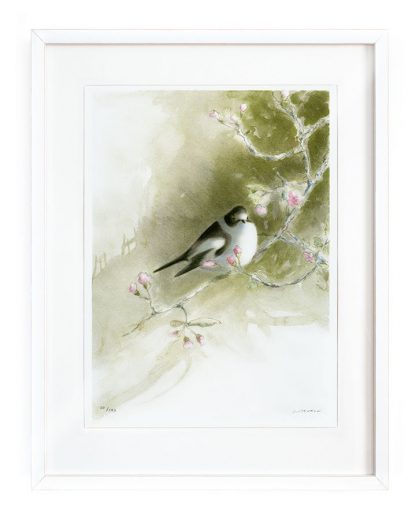 Art print flycatcher Birdart